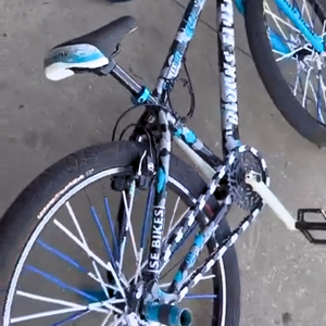 BMX Bicycle 16 – Black & White Two Tone Insane Chains (56 or 35 Piece)